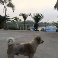 แม่โขงริเวอร์วิวรีสอร์ท​