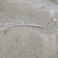 Phayamas Privet Beach Resort