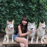 บรรยากาศ Husky Café  Khon Kaen