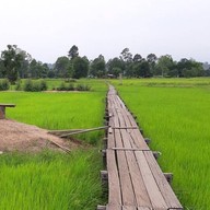 สะพานไม้ 100 ปี