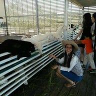 บรรยากาศ A CUP OF LOVE