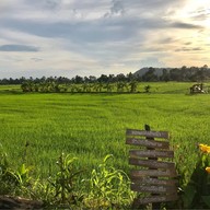 สะพานไม้ร้อยปี