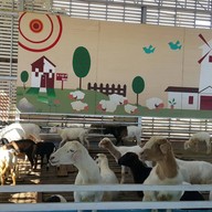 บรรยากาศ A CUP OF LOVE