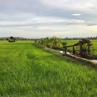 สะพานไม้ร้อยปี