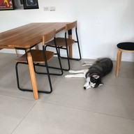 บรรยากาศ The Coco House