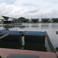 บรรยากาศ Mee D ฟาร์มปูนิ่ม