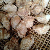 เมนูของร้าน ปั๊บกะเปี๊ยะ