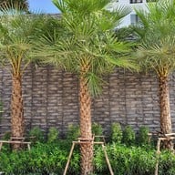 W3 Hotel Hatyai