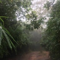 อุทยานแห่งชาติภูลังกา