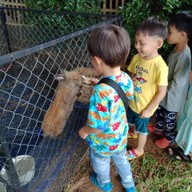 บรรยากาศ Rabbit Land