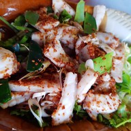 ร้านอาหารนางนวล ( ท่าจับปลาบึก )