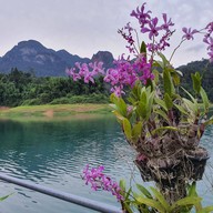 Pond Rich Tour At Khao Sok Lake