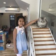 Cat Brothers Cafe