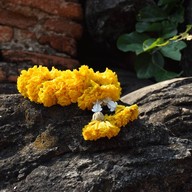 วัดวรเชษฐ์ นอกเกาะ