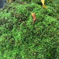 เสถียรธรรมสถาน