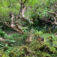 เสถียรธรรมสถาน