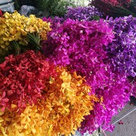 บรรยากาศ ตลาดต้นลำไย