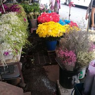 บรรยากาศ ตลาดต้นลำไย