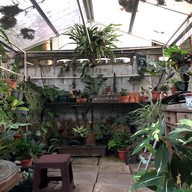 Yellow Stone cafe’ & Bar Korat