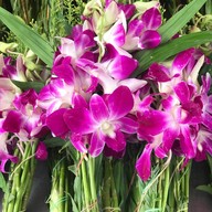 บรรยากาศ ร้านดอกไม้ป้าติ๋ม