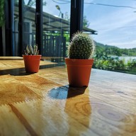The Harmony Cafe