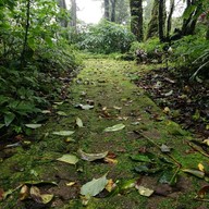 กู่พระเจ้าอินทวิชยานนท์