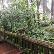 กู่พระเจ้าอินทวิชยานนท์