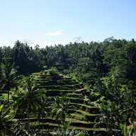 บรรยากาศ Tegalalang Rice Terrace