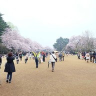 Yodobashi Camera Shinjuku