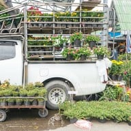 บรรยากาศ ตลาดธนบุรี (สนามหลวง 2)