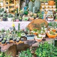 บรรยากาศ ตลาดธนบุรี (สนามหลวง 2)