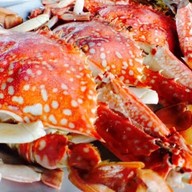 เมนูของร้าน หมึกสะเด็ด Food & Coffee Garden