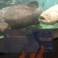 สถานแสดงพันธุ์สัตว์น้ำภูเก็ต