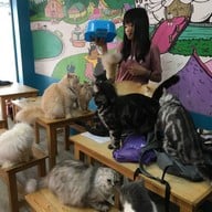 บรรยากาศ Fat Cat Cafe Club