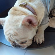 Collectors’ Cafe แจ้งวัฒนะ