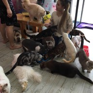 บรรยากาศ Fat Cat Cafe Club
