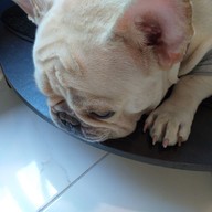 Collectors’ Cafe แจ้งวัฒนะ