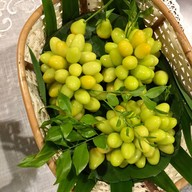 เมนูของร้าน Khaiipla