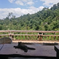 บรรยากาศ กาแฟดอยแตง