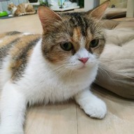 บรรยากาศ Catz Cafe