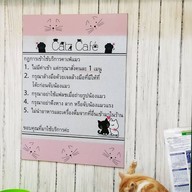 เมนู Catz Cafe