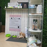 บรรยากาศ Catz Cafe