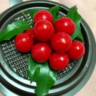 เมนูของร้าน Khaiipla