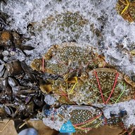 เมนูของร้าน Mrs.Yum