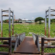 ข้าวร้อน 55 อาหารตามสั่ง