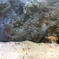 わくわく海中水族館シードーナツ