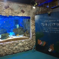わくわく海中水族館シードーナツ