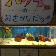 わくわく海中水族館シードーナツ