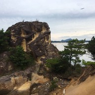 わくわく海中水族館シードーナツ