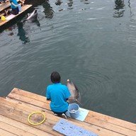 わくわく海中水族館シードーナツ